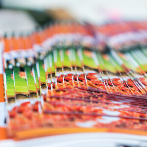 How To Get More From Direct Mail Campaigns?